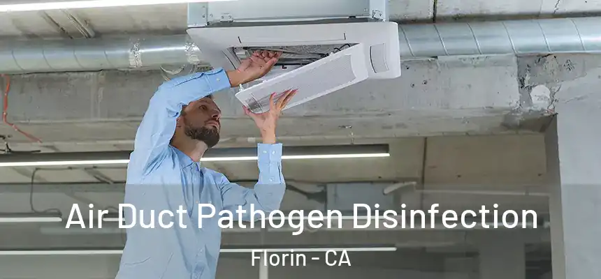  Air Duct Pathogen Disinfection Florin - CA