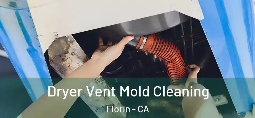  Dryer Vent Mold Cleaning Florin - CA
