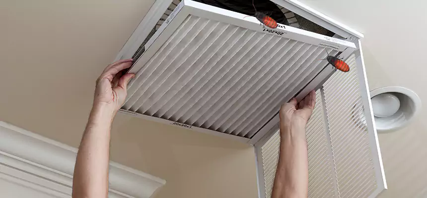 Preventive Cockroach-Proofing for Ducts in Florin