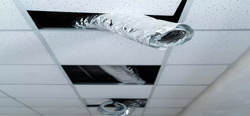 Our Air Duct Pet Hair Removal Services in Florin, CA