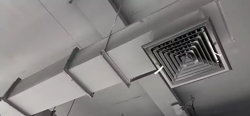 Our Rodent Droppings In Vents Services in Florin, CA