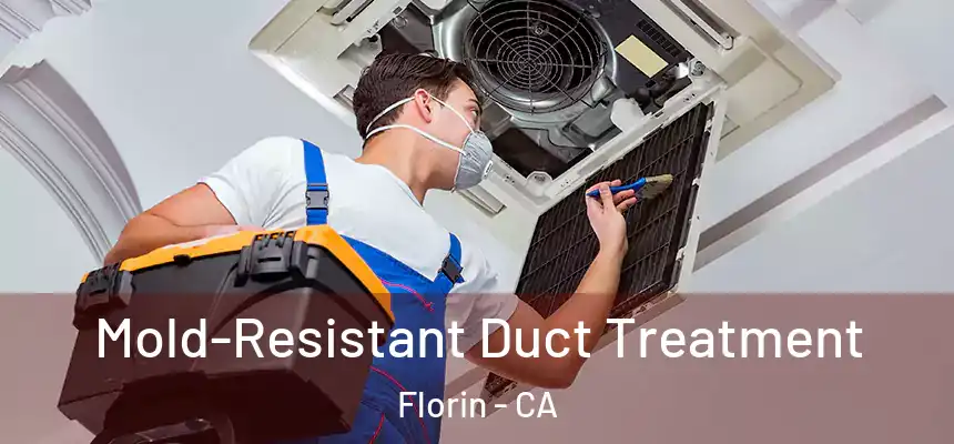  Mold-Resistant Duct Treatment Florin - CA