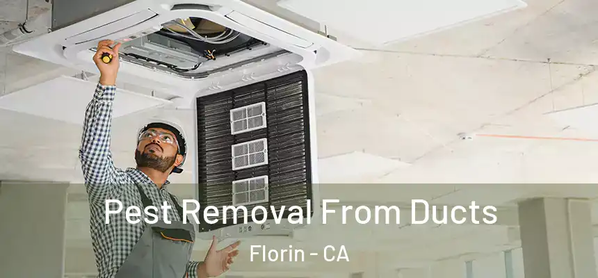  Pest Removal From Ducts Florin - CA