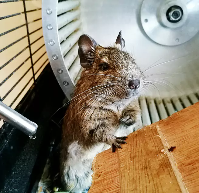 Why Homeowners & Businesses Trust Us Florin, CA?